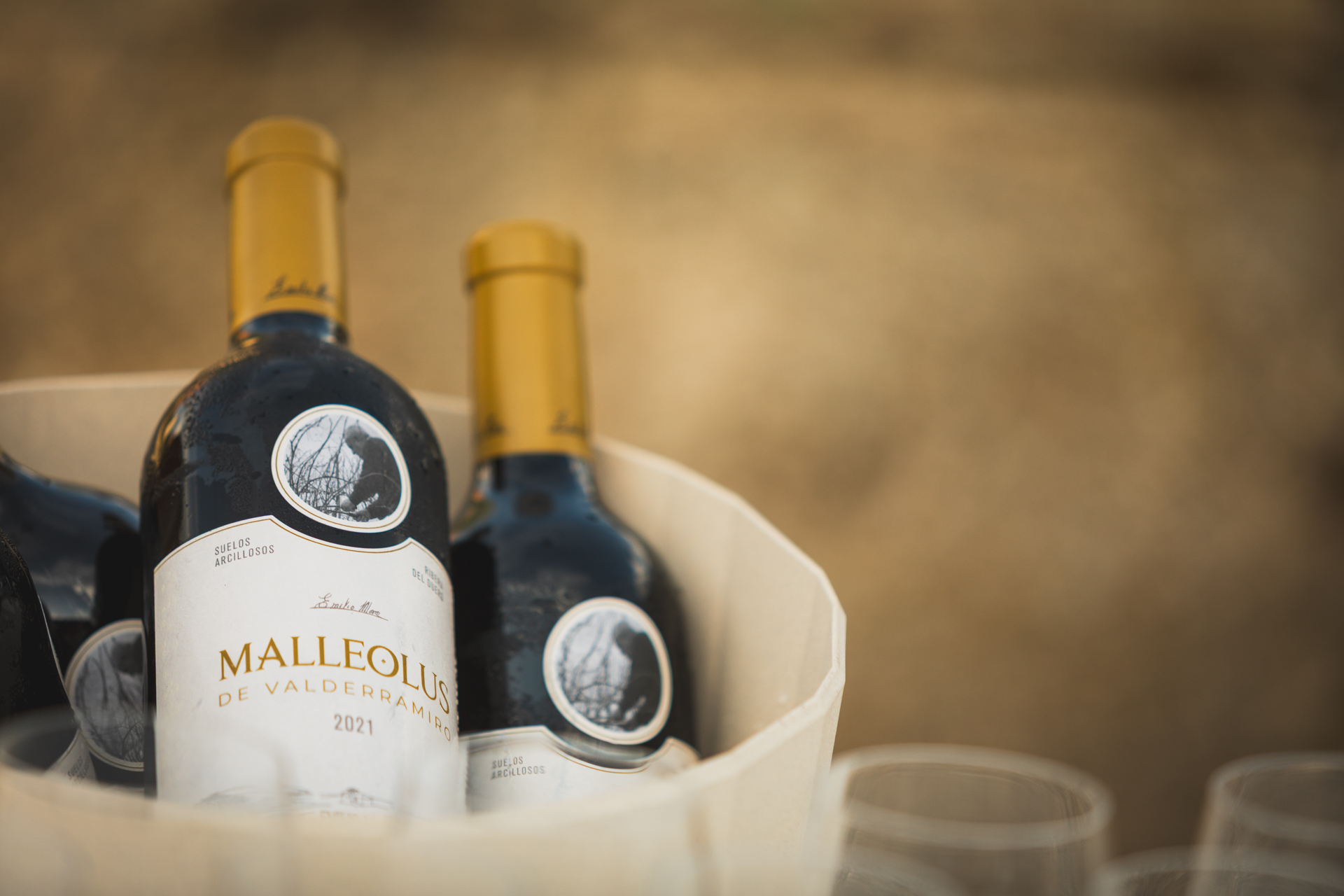 Botellas de vino